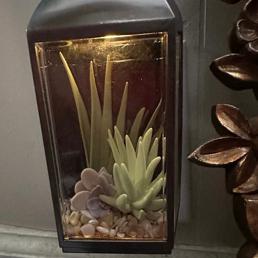 BBW Bath and Body Works
Succulent plantScene
Lantern Wallflower Night
Light Plug